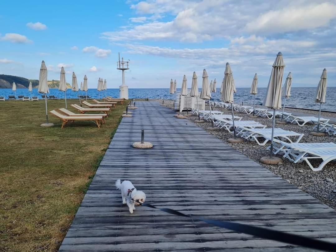 Apartmaji Soncek Изола Екстериор снимка